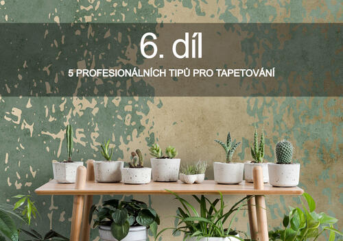 Seriál o tapetách: 6. diel 5 Profesionálnych tipov pre tapetovanie